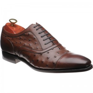 Barker Puccini in Brown Calf and Ostrich