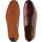Alfred Oxfords