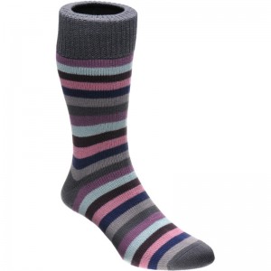Herring Cuthbert Sock in Pink Multi