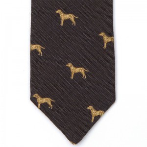 Pointer Tie (7796 204) in Brown (1)