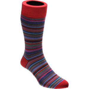 Herring Baloo Sock in Bright