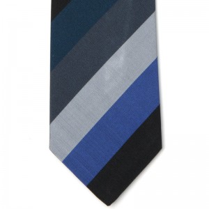 Medium Stripe Tie 3 (9003 60) in Blue (1)