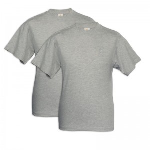 Herring Devon Tee Shirt Double in Grey