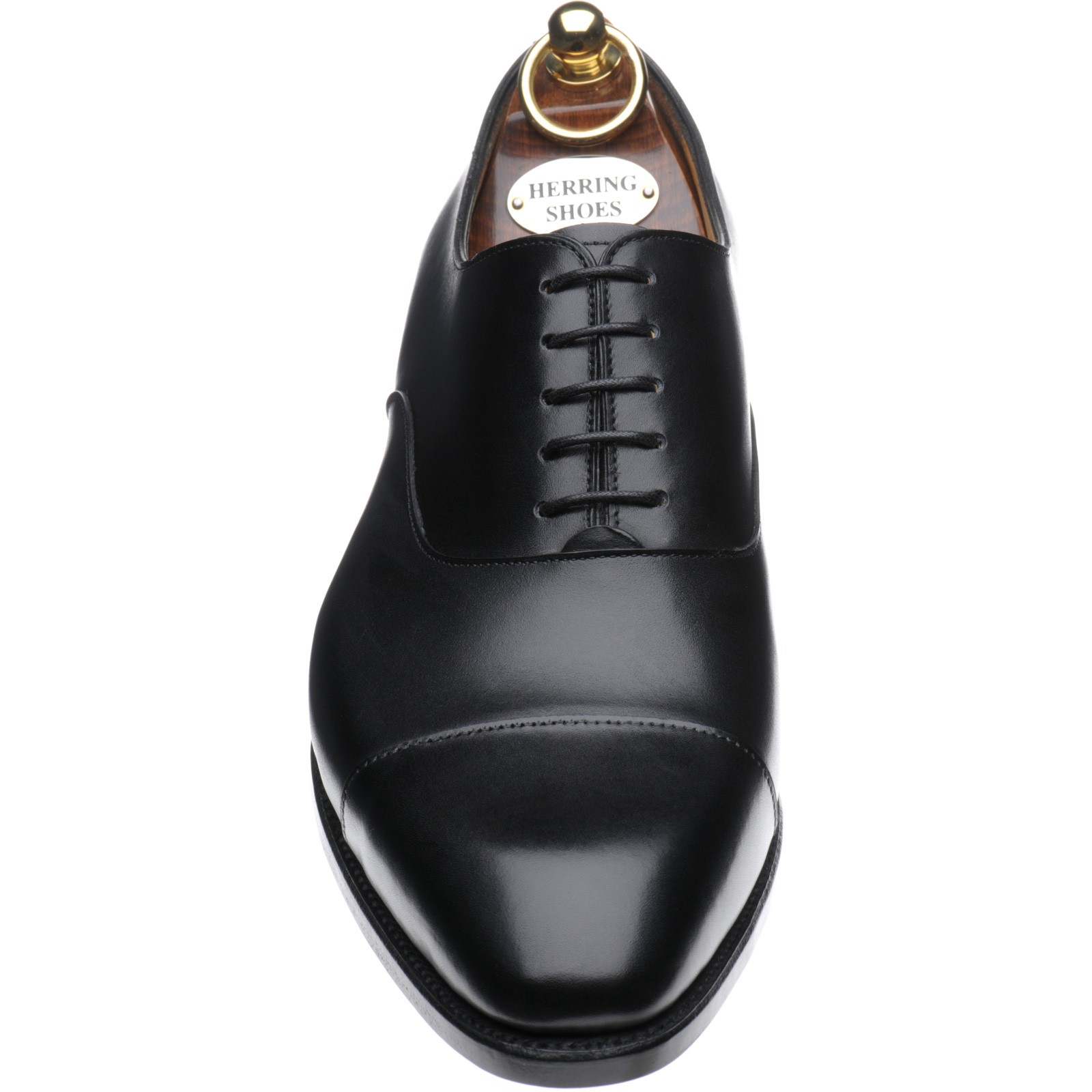 Herring shoes Herring Seconds Dickens Oxfords in Black Calf at