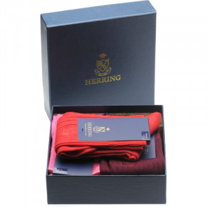 5 Pairs of Socks Gift Set in Gomez Selection