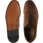 Newcastle Oxfords