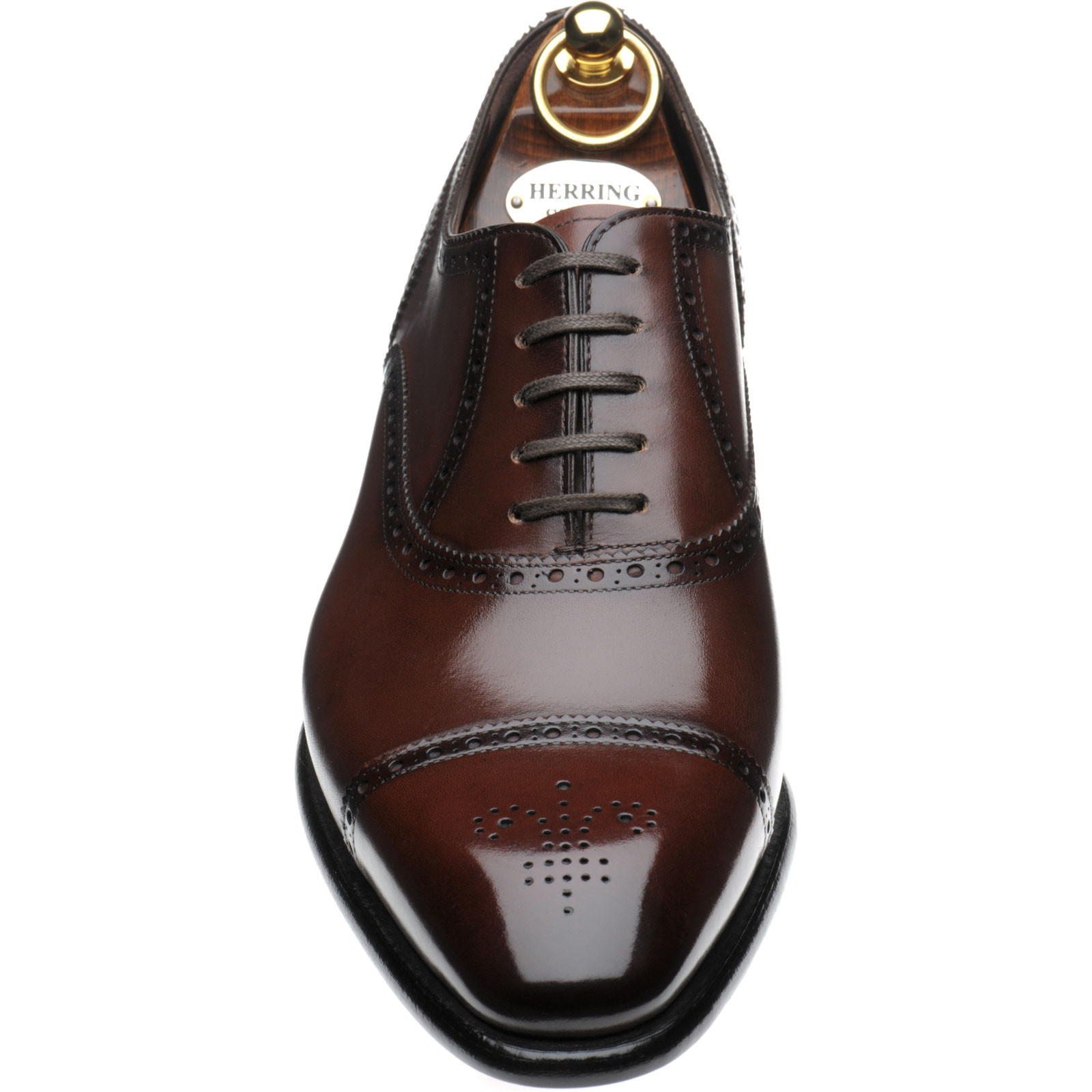 Sloane semi-brogues by Herring…