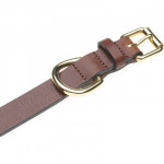 Herring Shep Dog collar