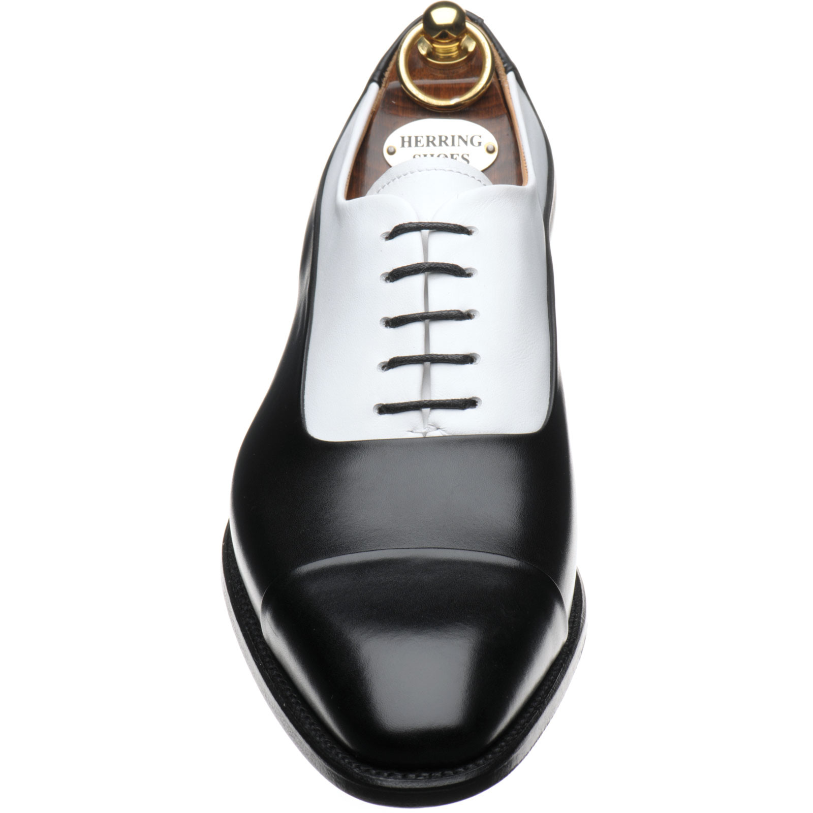 Herring shoes Herring Classic Gusbourne twotone Oxfords in Black