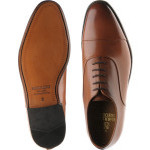 Newbury Oxfords