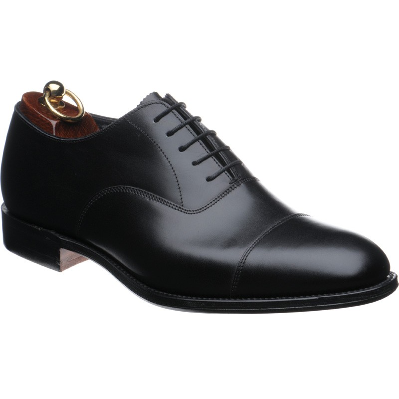 Herring Knightsbridge  Oxfords