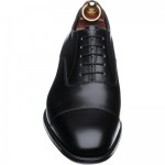 Herring Knightsbridge  Oxfords